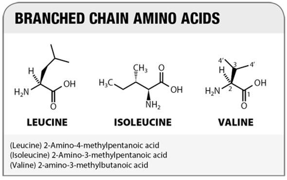 branched chain chemical structure