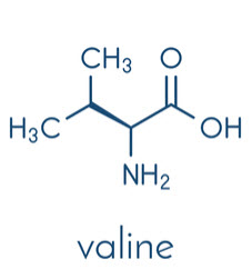 valine